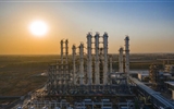 新疆大全新能源股份有限公司招聘公告