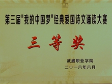 第三届“我的中国梦”经典爱国诗文诵读大赛三等奖